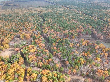 Land in Bowie County, Texas