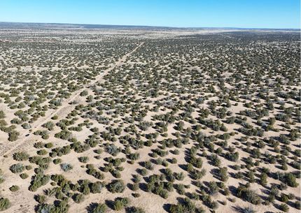 Farm and Ranch in Apache County, Arizona