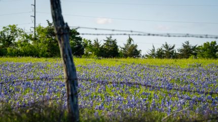 Farm and Ranch for sale in Fayette County, Texas