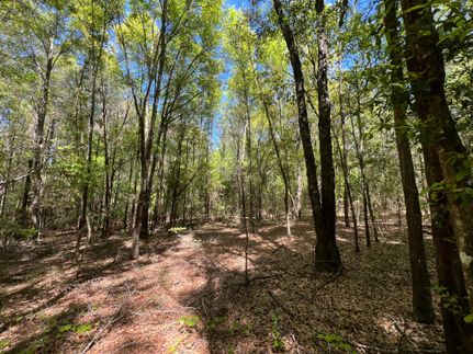 Commercial Property for sale in Coffee County, Alabama