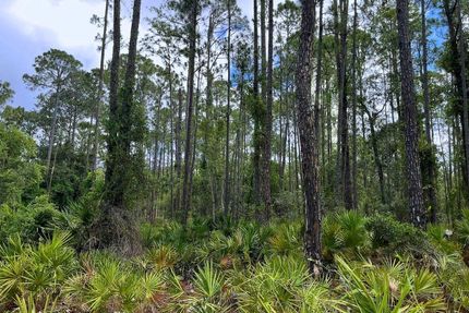 Undeveloped Land for sale in Putnam County, Florida