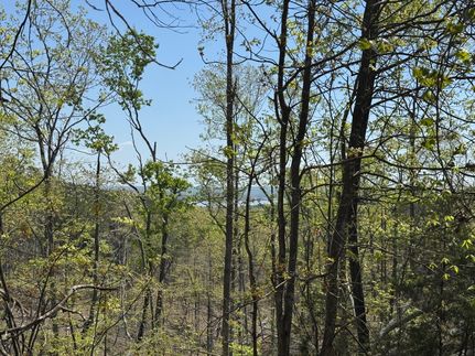 Recreational Property for sale in Benton County, Tennessee