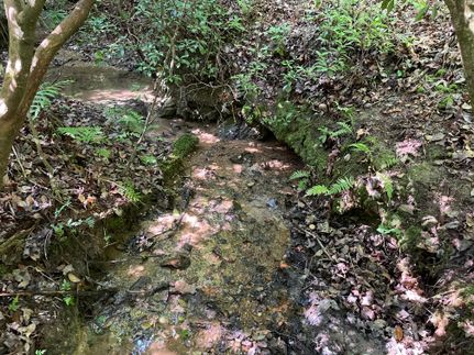 Land in Oconee County, South Carolina