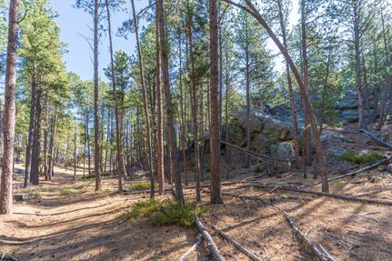 Timberland Property for sale in Custer County, South Dakota