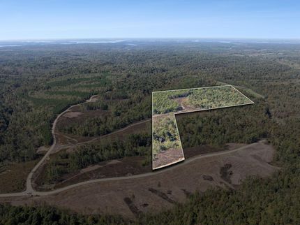Timberland Property for sale in Stewart County, Tennessee
