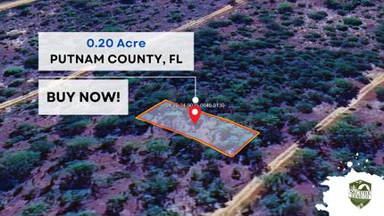 Undeveloped Land in Putnam County, Florida