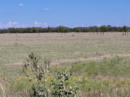 Farm and Ranch in Grayson County, Texas