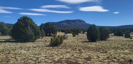 Hunting Property for sale in Coconino County, Arizona