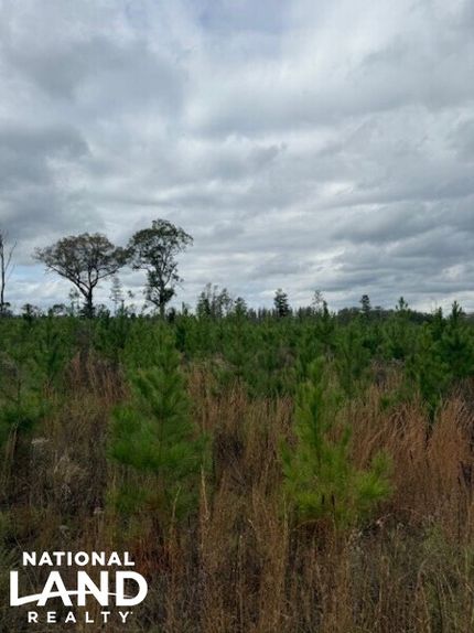 Farm and Ranch in Conecuh County, Alabama