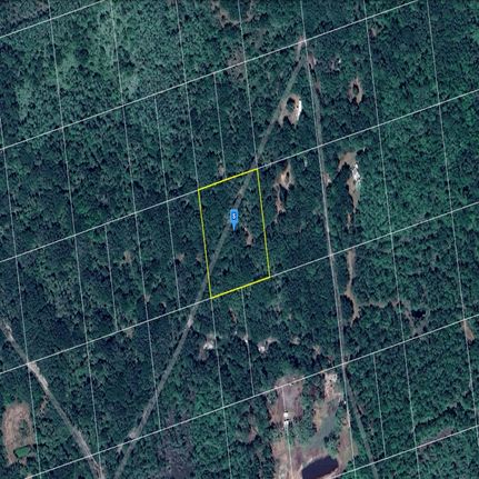 Undeveloped Land in Volusia County, Florida