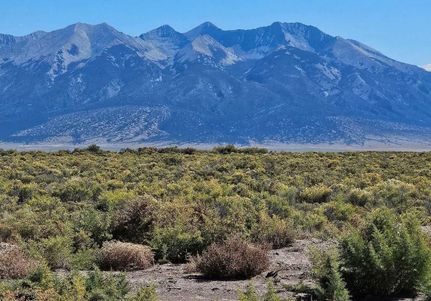 Undeveloped Land in Alamosa County, Colorado