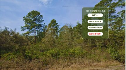 Undeveloped Land in Putnam County, Florida