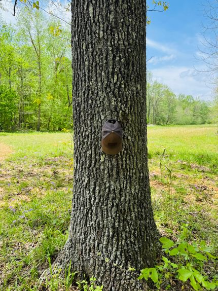 Land for sale in Hardeman County, Tennessee