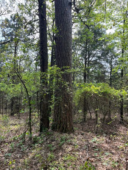 Farm and Ranch for sale in Le Flore County, Oklahoma