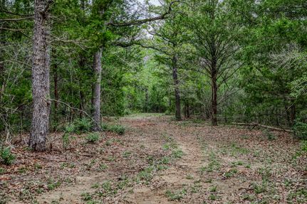 Undeveloped Land for sale in Lee County, Texas
