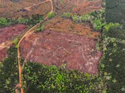 Farm and Ranch for sale in Choctaw County, Mississippi