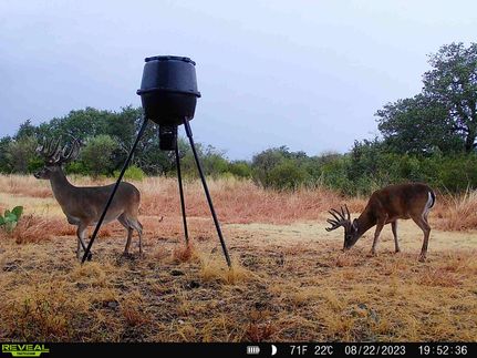 Undeveloped Land for sale in Uvalde County, Texas