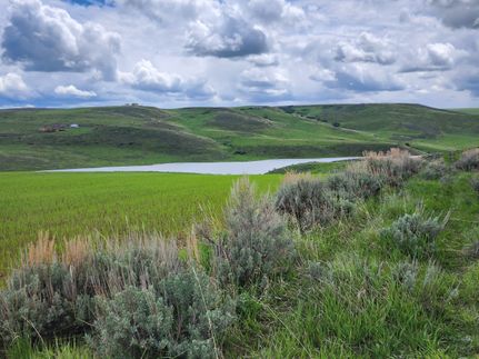 Undeveloped Land in Moffat County, Colorado
