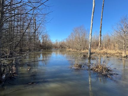 Timberland Property for sale in Drew County, Arkansas