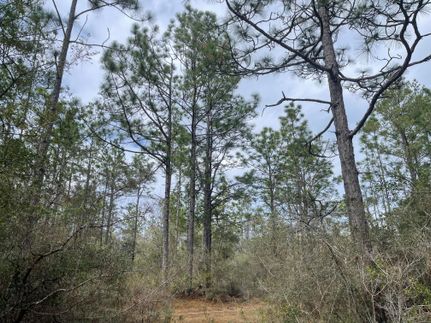 Timberland Property for sale in Jackson County, Florida