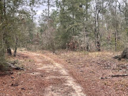 Farm and Ranch for sale in Jackson County, Florida