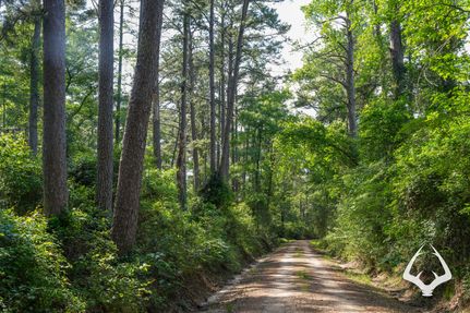 Timberland Property for sale in Houston County, Texas