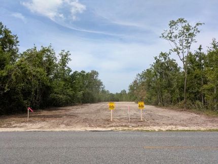 Undeveloped Land in Suwannee County, Florida