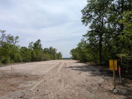Farm and Ranch in Suwannee County, Florida