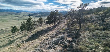 Timberland Property for sale in Larimer County, Colorado