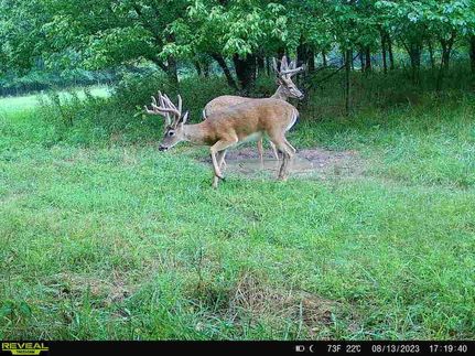 Recreational Property in Cooper County, Missouri