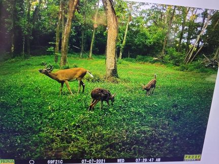 Farm and Ranch in Pike County, Indiana