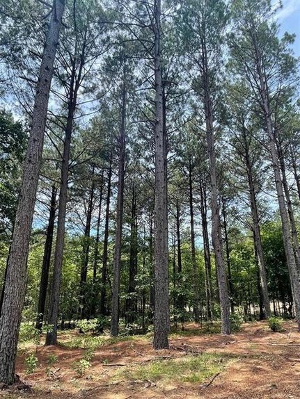 Undeveloped Land in McCurtain County, Oklahoma