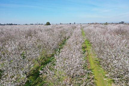 Farm and Ranch for sale in Fresno County, California