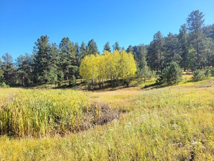 Hunting Property for sale in Teller County, Colorado