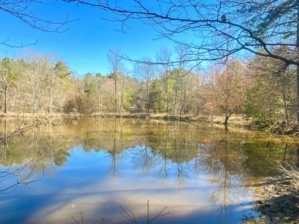 Land in Pike County, Arkansas