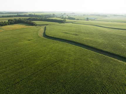 Farm and Ranch in Henderson County, Illinois
