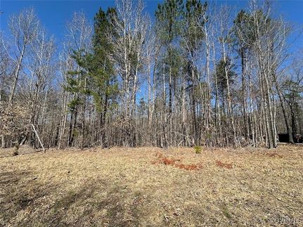 Undeveloped Land in Nottoway County, Virginia