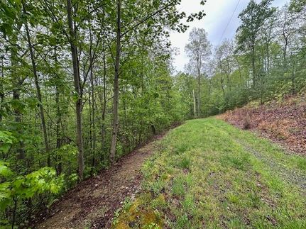 Land in Morgan County, Tennessee