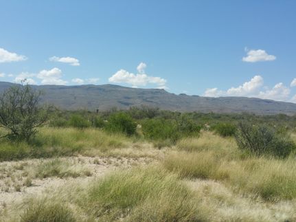 Farm and Ranch for sale in Hudspeth County, Texas