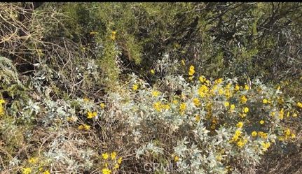 Undeveloped Land in Los Angeles County, California