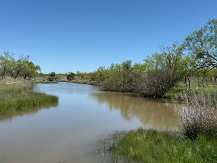 Farm and Ranch for sale in Runnels County, Texas
