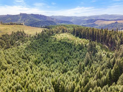 Timberland Property in Douglas County, Oregon