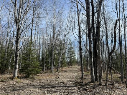 Land in Marquette County, Michigan