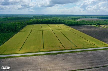 Undeveloped Land in Pamlico County, North Carolina