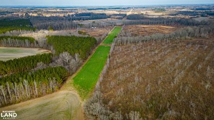 Timberland Property in Union County, Mississippi