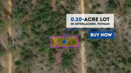 Undeveloped Land in Putnam County, Florida