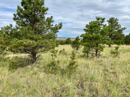 Farm and Ranch for sale in Elbert County, Colorado