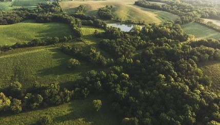 Undeveloped Land for sale in Marion County, Iowa