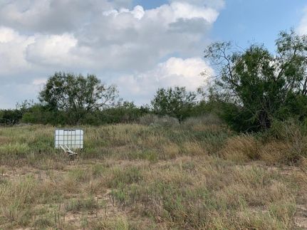 Land in Duval County, Texas