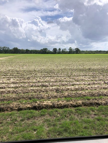 Farm and Ranch for sale in Franklin Parish, Louisiana